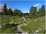 Rifugio Pederü - Rifugio Sennes